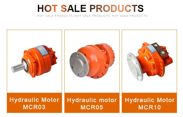 China Manufacturer of Poclain Ms Series Hydraulic Motor