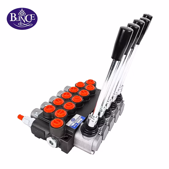 Blince 5p40 40L/Min Hydraulic Multi